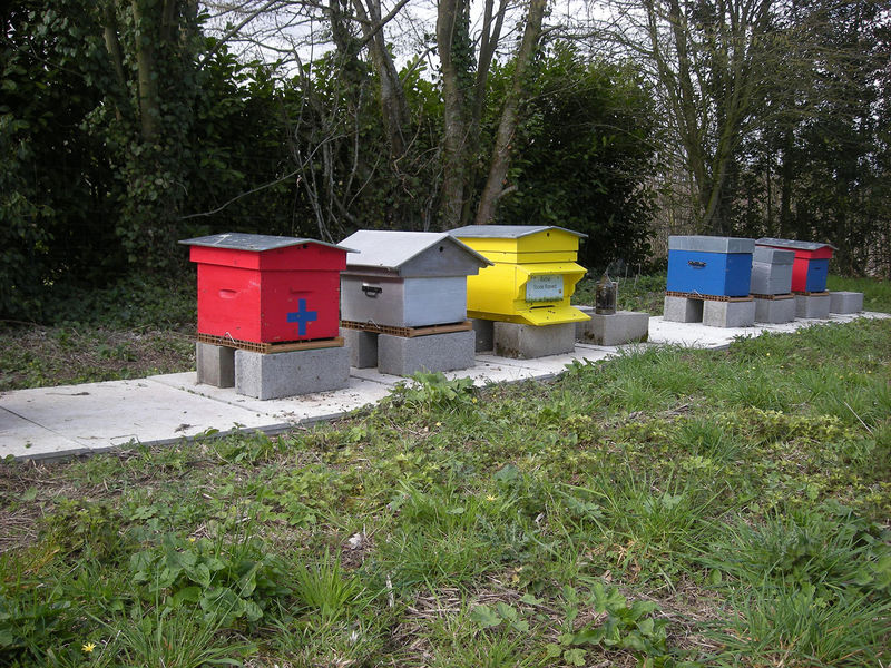 La ruche Stode Bopied